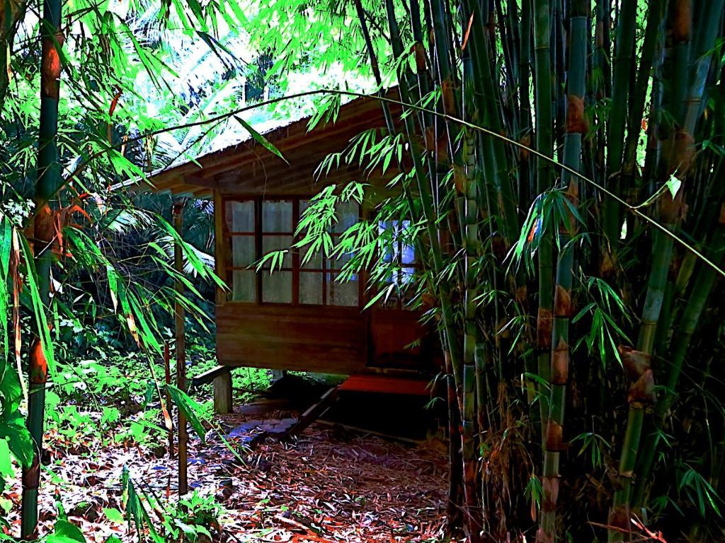 Huella Verde Rainforest Lodge Canelos Værelse billede