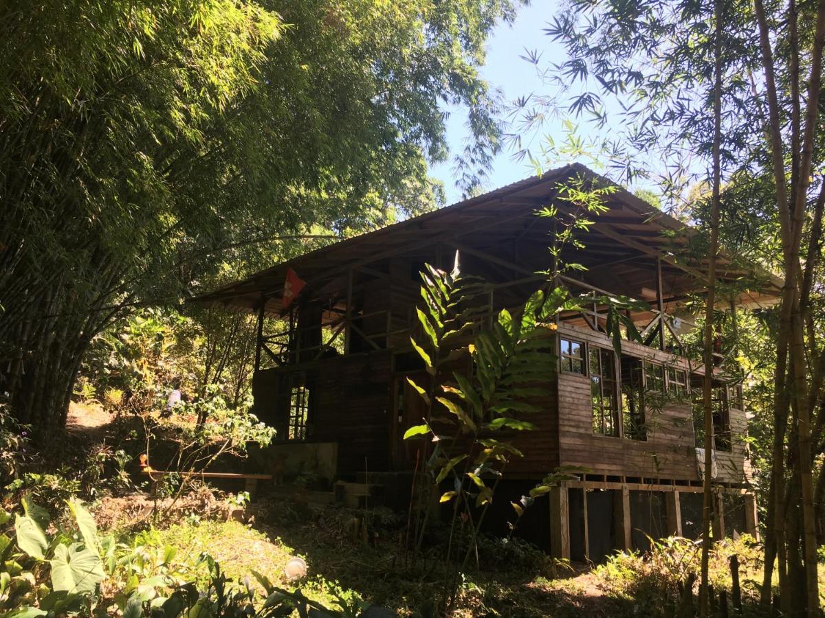 Huella Verde Rainforest Lodge Canelos Eksteriør billede
